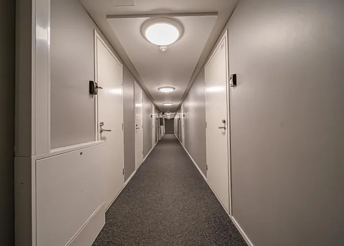 Starveil 207 By Aavalevi